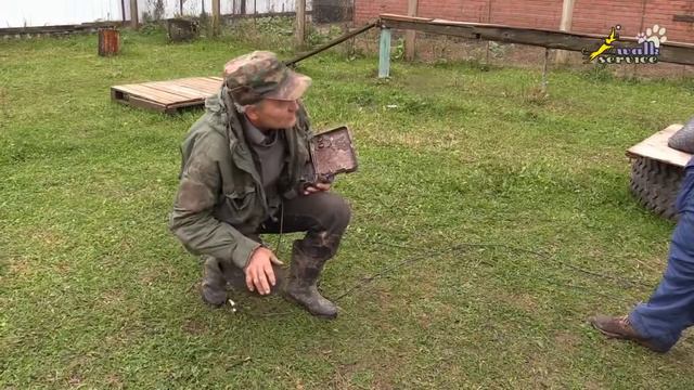 Как отучить собаку подбирать с земли, так дрессировали в СССР смотреть онлайн