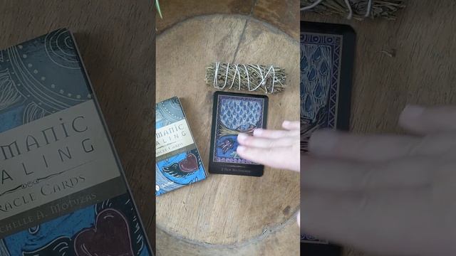 Shamanic Healing Oracle deck card 2- New Beginnings смотреть онлайн