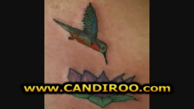 Kolibri Tattoo, Vogel Tattoos смотреть онлайн