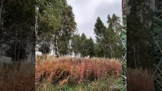Сентябрь, дожди. Осенняя песня. А.Дольский смотреть онлайн