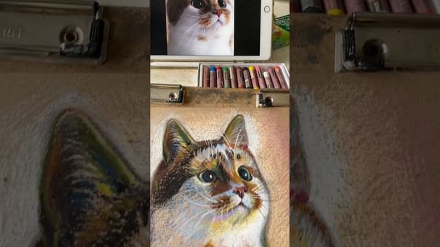 Котик нарисованный масляной пастелью #art #painting #маслянаяпастель #кот смотреть онлайн