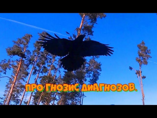 ПРО ГНОЗИС ДИАГНОЗОВ. смотреть онлайн