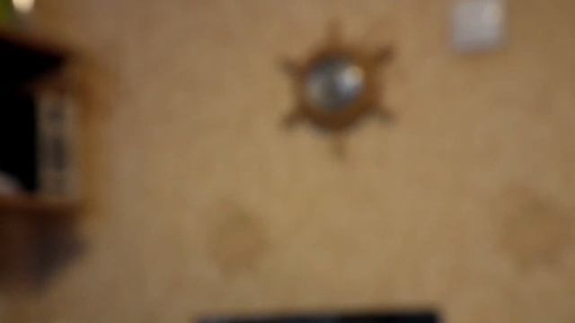 2014 03 16 первое видео на фоток FUJIFILM FINEPIX HS10 смотреть онлайн