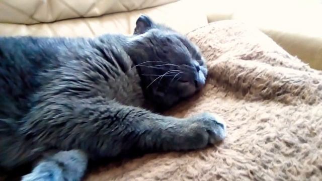 Когда приснилось молоко смотреть онлайн