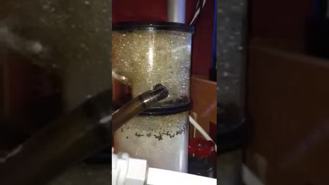 New Protein Skimmer Installed