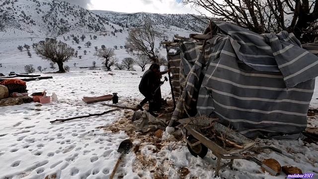 "The Joy of Giving: Extending Kindness to a Nomadic Woman in Need" смотреть онлайн