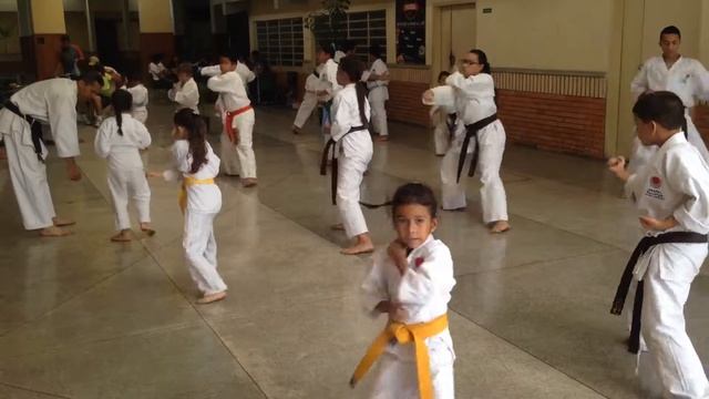 Seminario Karate Camila Carrero смотреть онлайн