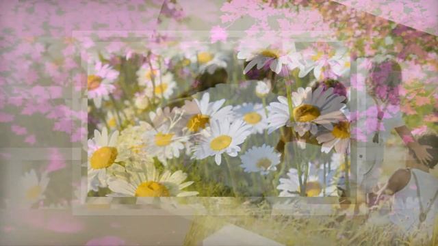 Поздравление ко дню Петра и Февронии. День семьи 8 июля. Поздравляшки TV смотреть онлайн