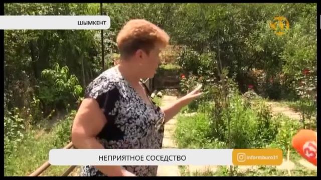 Крысы держат в страхе целый район Шымкента смотреть онлайн