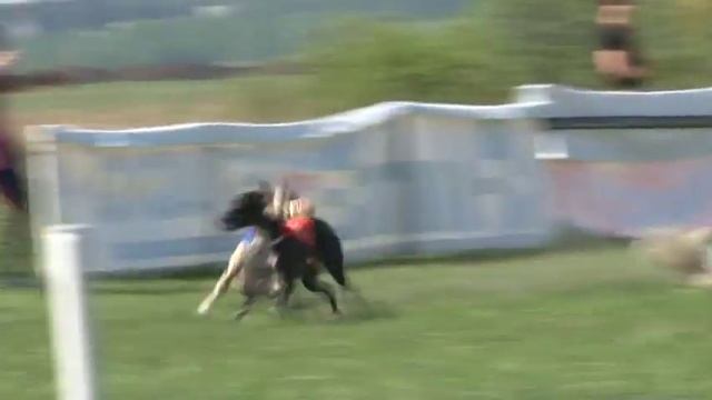 «УБК-уральский беговой клуб». Бега борзых смотреть онлайн