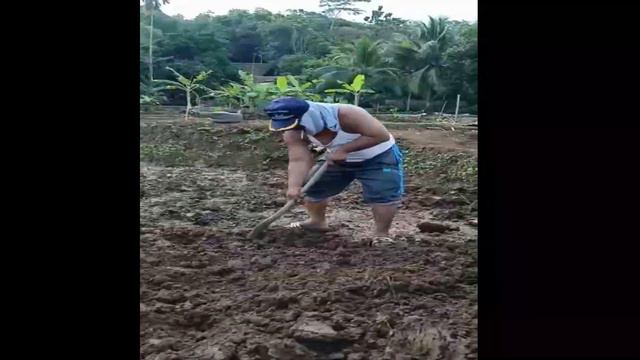 Bapak Dewan Bade Ngdamel Balong 'MACUL' смотреть онлайн