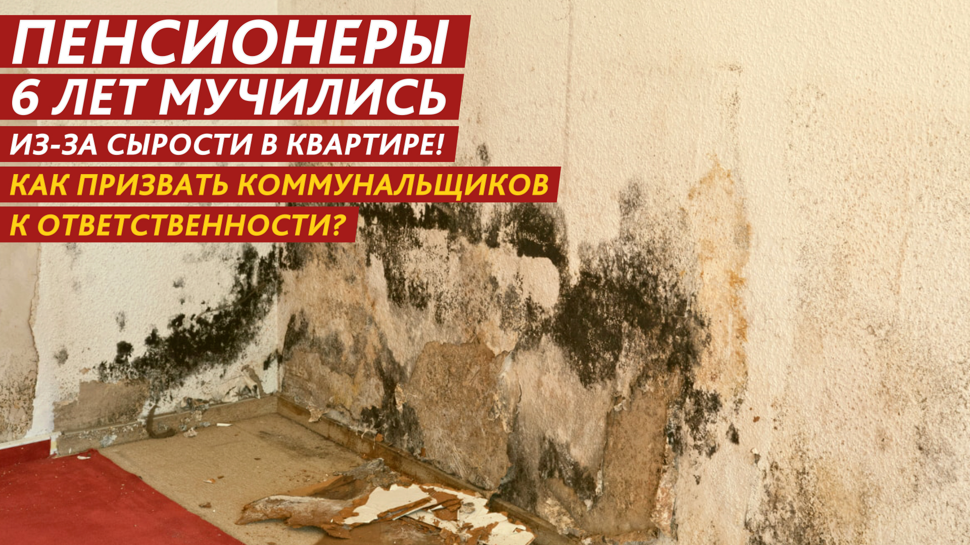 6 лет мучились из-за сырости в квартире! Кто за это ответит? смотреть онлайн