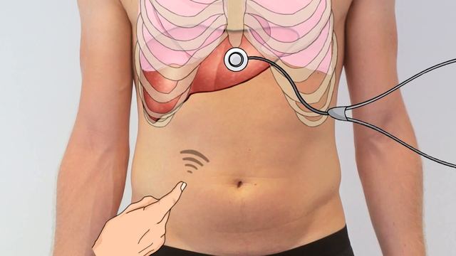 Examination of the Liver - Clinical Examination смотреть онлайн