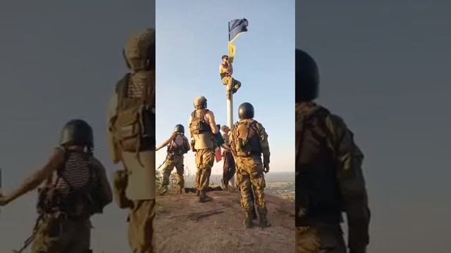 VID_20240202_175149_656.mp4