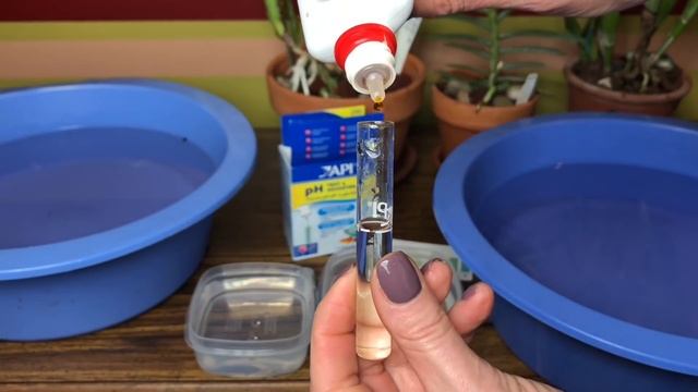 Полив и удобрение орхидей. Вода и субстрат для орхидей. Качество воды. Новый подход к выращиванию. смотреть онлайн