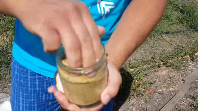 Слизни. Как бороться со слизнями .3 совета смотреть онлайн