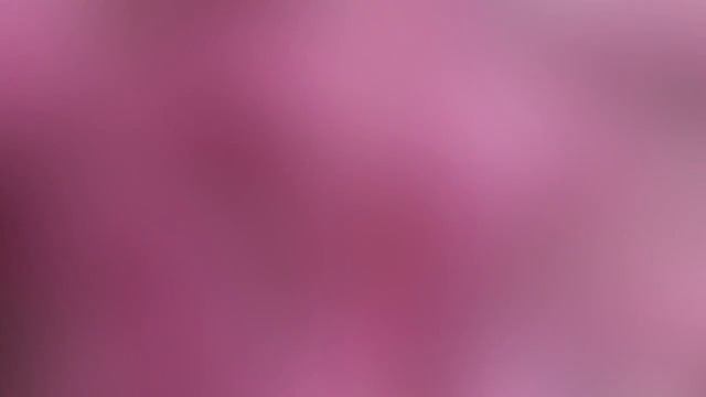 Красавица Сакура цветёт на улице Октябрьской, Шимановск, май 2018. смотреть онлайн