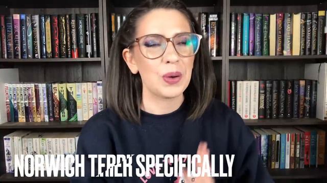 IF STORMLIGHT ARCHIVE CHARACTERS WERE DOGS 🐶