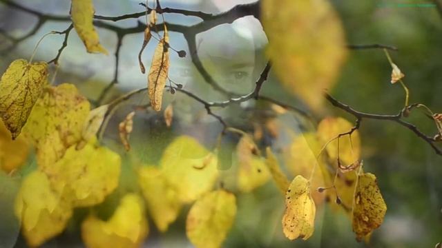 "Обман" Автор Гарик Кричевский. смотреть онлайн
