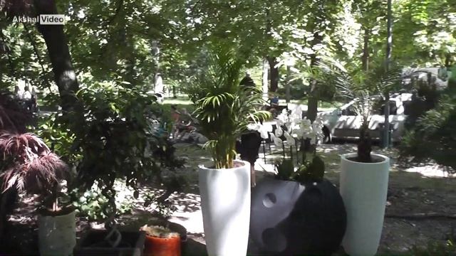 Фестиваль ландшафтного искусства и цветов. Ростов-на-Дону 2017 смотреть онлайн