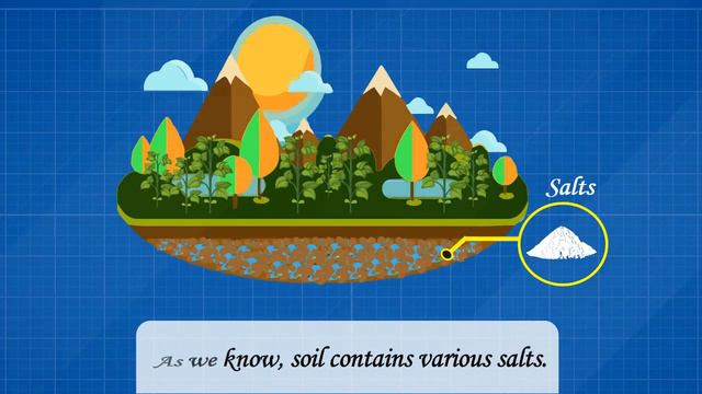 Soil Moisture // Soil Water // Importance of Soil Moisture // Soil Moisture for Plant // смотреть онлайн