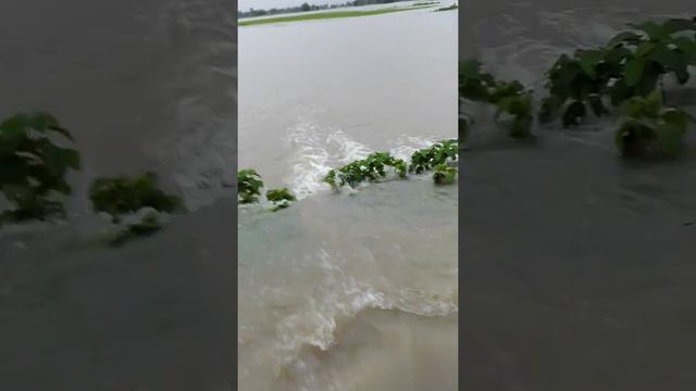 2074 ma gako badi pahiro gako смотреть онлайн