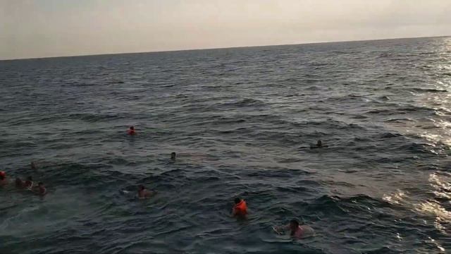 Морская прогулка на теплоходе "Сухум", купание в открытом море... смотреть онлайн