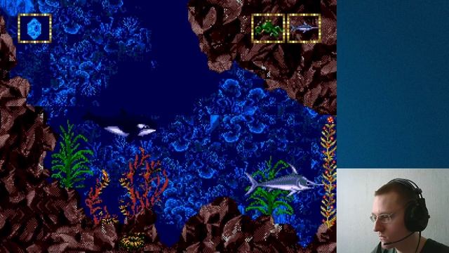 Ecco Jr. смотреть онлайн
