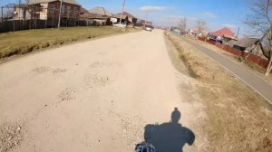 Питбуль Араб пробил колесо ?! Прогулка со всеми питбулями в лес !!! Волки хотят домой к банде !!!!