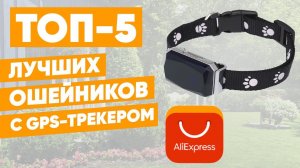 ТОП-5 ошейников для собак с GPS-трекером с АлиЭкспресс. Рейтинг
