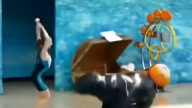 Танец с тюленем смотреть онлайн