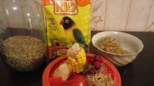 Корма для неразлучников часть 1