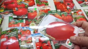 КАКИЕ ТОМАТЫ ВЫБРАТЬ? СОРТ КЕНИГСБЕРГ. Обзор Черновой Ольги.