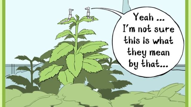 Wriggler's Gardening Tips – keep on top of weeds смотреть онлайн