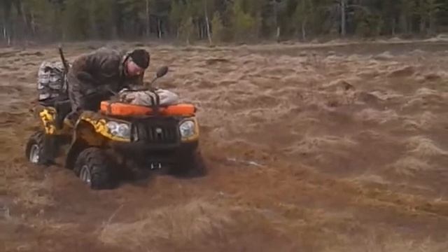 Квадры болото смотреть онлайн