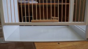 Клетка-бокс для разведения своими руками I Разведение канареек