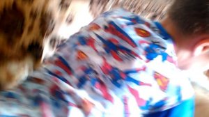 супер десеци летка  в памперсе