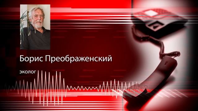 Больше 60 человек поступили к медикам с укусами медуз смотреть онлайн