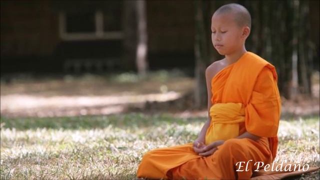 Meditación Nataraj смотреть онлайн