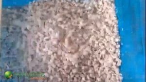 Машина для нарезки замороженного мяса на кубик, брусок и слайс Vega H Frozen Meat Dicer 2500