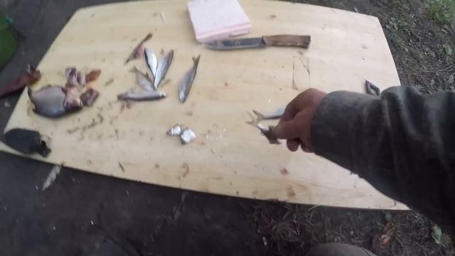 Рыбалка на Живца. Двое Суток на Реке. Лодку нв Воду, Судака на Кукан, Спирт в Себя и Быть Добру!!! смотреть онлайн