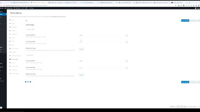 7. Buddyboss Theme Settings WP Multisite смотреть онлайн