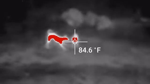 FLIR one Android Dogs смотреть онлайн