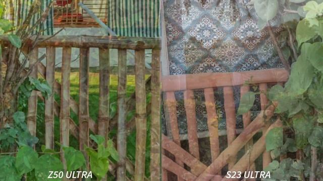ZTE Nubia Z50 Ultra vs Samsung Galaxy S23 Ultra Camera Test смотреть онлайн