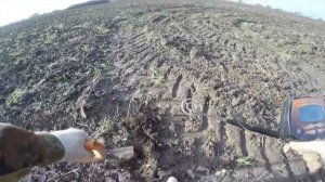 Коп на поле в Калининградской области