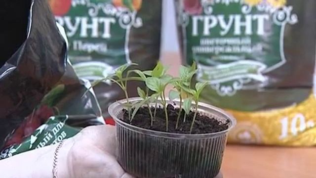 Задачи у дачи 26.03.2013 смотреть онлайн