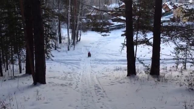 Алиска на горке. Зима 2017 смотреть онлайн