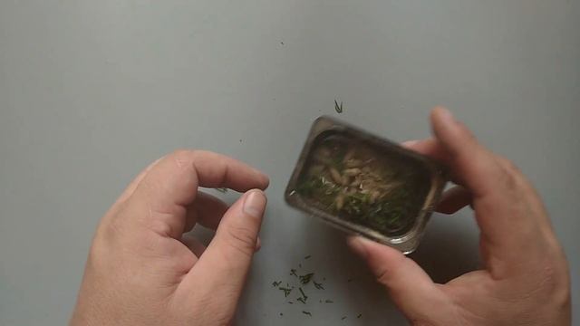 Опарыш который сам ловит рыбу!!! Укропный опарыш.