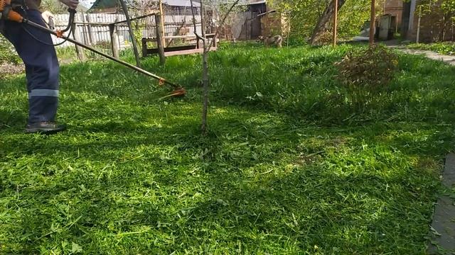 ✅Grass Cutter - Mow the Grass in the Yard смотреть онлайн