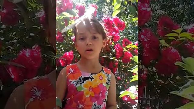 Стих "СОВЕСТЬ" смотреть онлайн